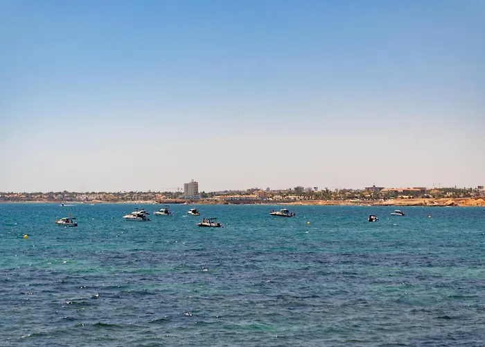 Laguna * 托雷维耶哈