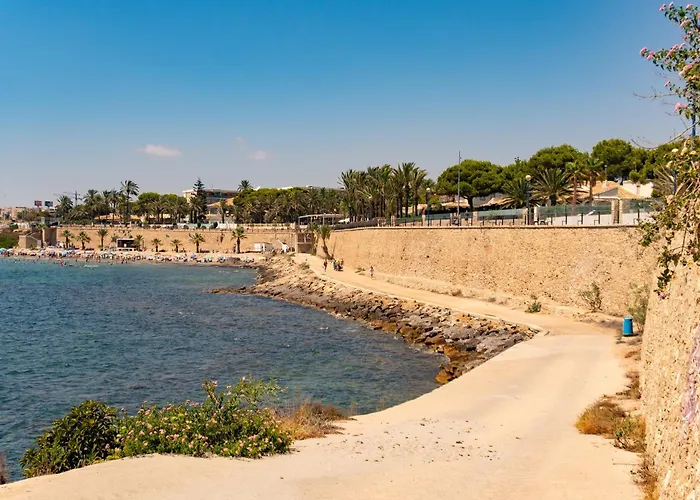 Laguna 托雷维耶哈