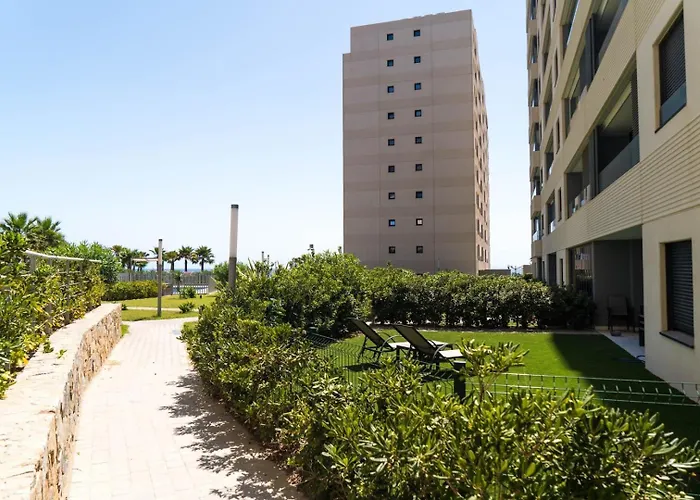 Laguna * 托雷维耶哈