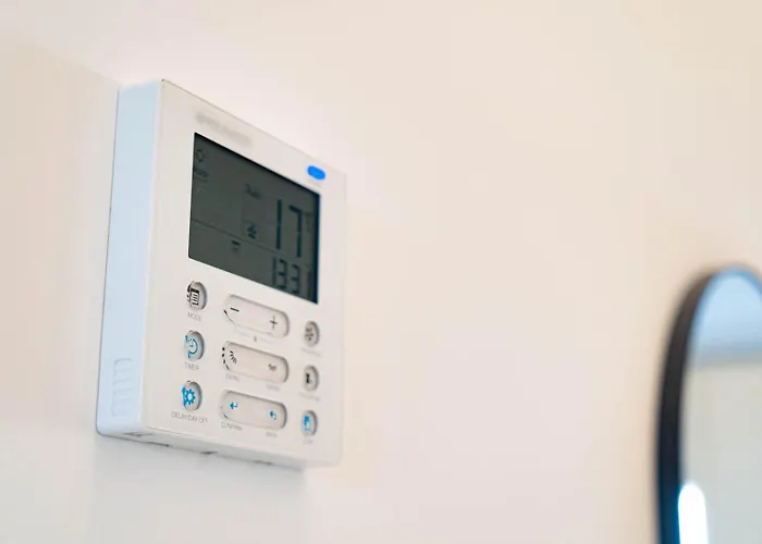 Laguna 托雷维耶哈